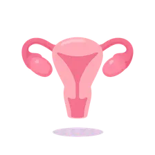Management Approaches to Menstrual Disorders