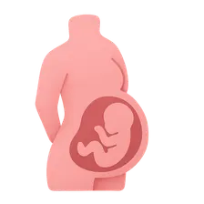 Physiological Changes in Pregnancy