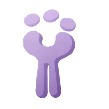 Cell Surface Receptors: Types and Functions