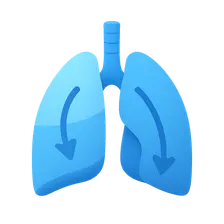 Gravity effects on V/Q distribution
