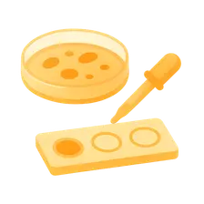 Bacterial Identification Methods