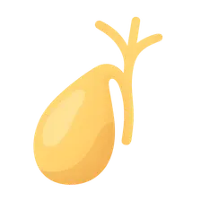 Gallbladder and Biliary Tract Diseases