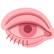 Eyelid Anatomy and Physiology