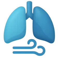 Respiratory Regulation of Acid-Base Balance