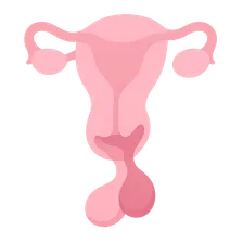 Pituitary Disorders in Pregnancy