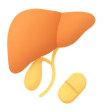 Biliary excretion