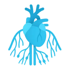 Great vessels and lymphatics
