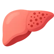 Antimicrobial toxicities