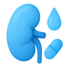 Renal and Non-renal Excretion