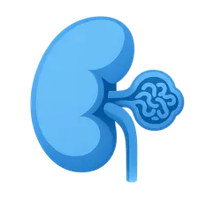 Glomerular diseases overview
