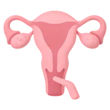 Evaluation of Menstrual Disorders