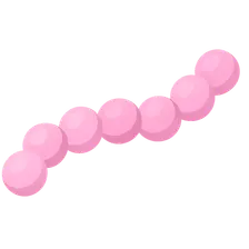 Group B streptococci