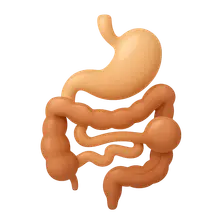 Congenital anomalies of GI tract