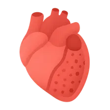Pericardial diseases