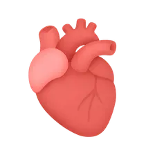 Atrial contribution to cardiac function