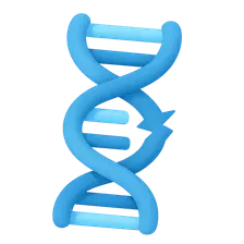 Types of DNA damage