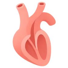 Outflow tract septation