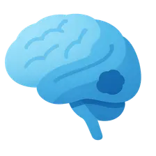 Clinical Correlations in Neuroanatomy
