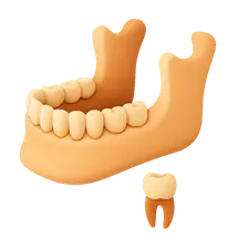 Age Estimation from Teeth