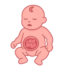 Congenital abdominal wall defects