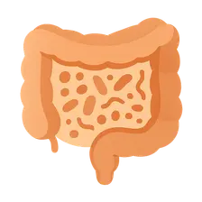 Gastrointestinal microbiome