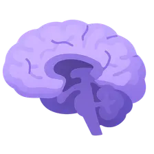 Neuroimaging findings