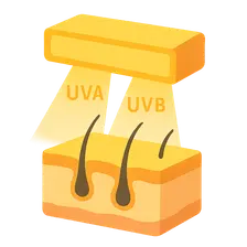 UVA and UVB Phototherapy