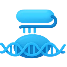 RNA interference and microRNAs