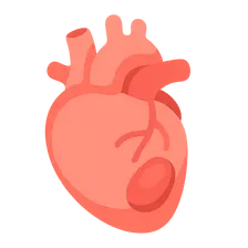 Cardiac complications and evaluation
