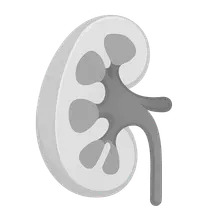 Imaging Aspects of Anatomical Variations