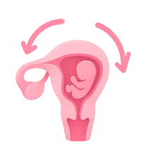 Hormonal Regulation of Labor
