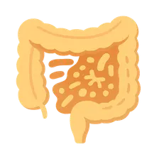 Dysbiosis and Disease