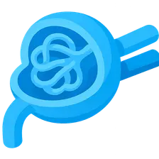 Glomerular structure and function