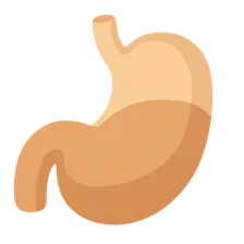 Pathophysiology of Obesity