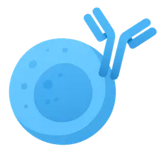 B-cell depleting antibodies
