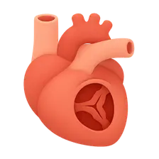 Valvular Heart Disease