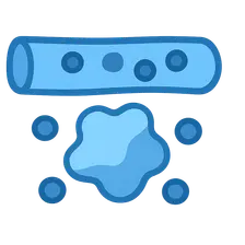 Drug Distribution and Protein Binding