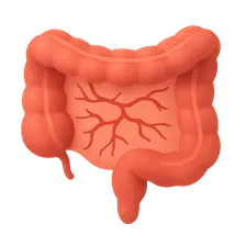 Vascular disorders of bowel