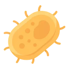 Chlamydia psittaci