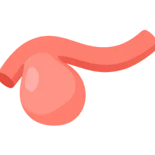 Coronary artery aneurysms