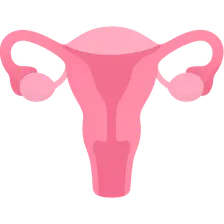 Preconception Counseling