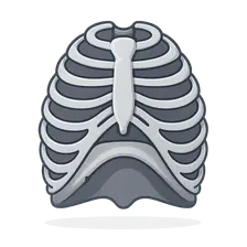 Thoracic Wall and Diaphragm