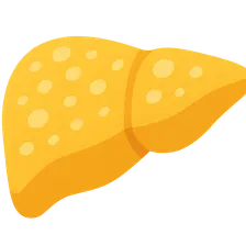Fatty Liver and Lipotropic Factors