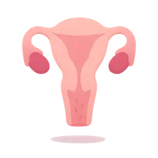Urogenital Atrophy