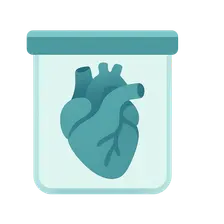 Organ Retention and Disposal