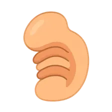 Pharyngeal membrane derivatives