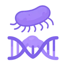 Mutation and Mutagenesis