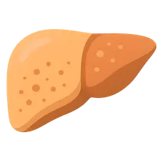 Non-alcoholic fatty liver disease