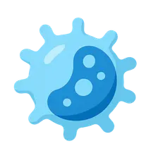 Innate Immunity