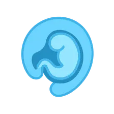 Embryology of Eye